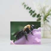 Außer Postkarte (Stehend Vorderseite)