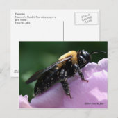Außer Postkarte (Vorne/Hinten)
