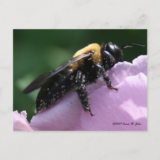 Außer Postkarte (Vorderseite)