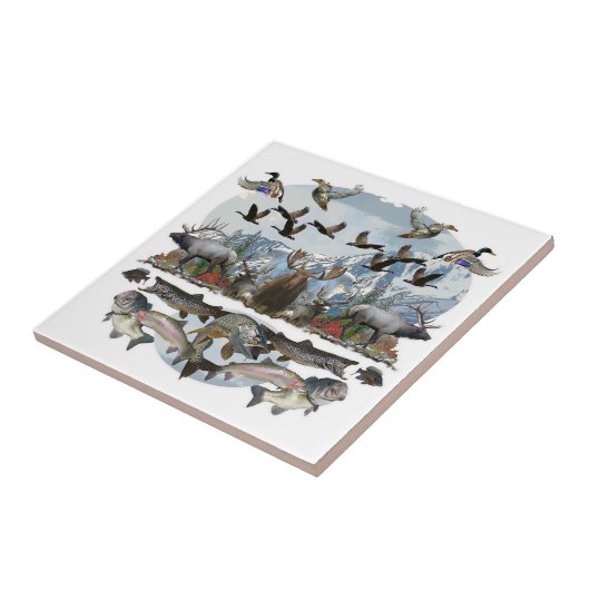 Äußeres Leben Fliese (Seite)