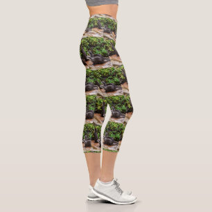 **"Außergewöhnlich erfreulich: Eine Fotogalerie vo Capri Leggings