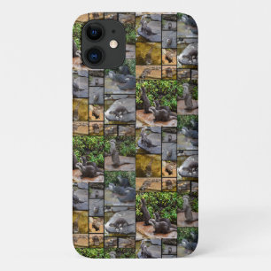 **"Außergewöhnlich erfreulich: Eine Fotogalerie vo Case-Mate iPhone Hülle