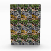 **"Außergewöhnlich erfreulich: Eine Fotogalerie vo Fotoblock (Vorderseite)