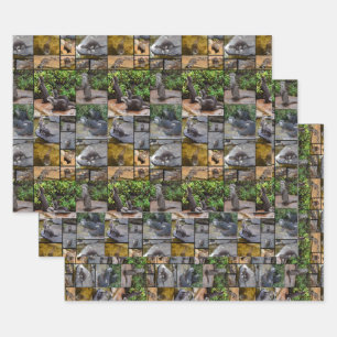 **"Außergewöhnlich erfreulich: Eine Fotogalerie vo Geschenkpapier Set