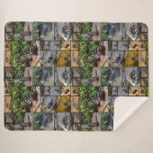 **"Außergewöhnlich erfreulich: Eine Fotogalerie vo Sherpadecke (Vorderseite (Horizontal))