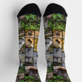 **"Außergewöhnlich erfreulich: Eine Fotogalerie vo Socken (Oben)