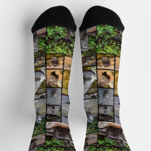 **"Außergewöhnlich erfreulich: Eine Fotogalerie vo Socken (Oben)