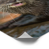 Außergewöhnlich überraschend poster (Ecke)