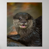 Außergewöhnlich überraschend poster (Vorne)