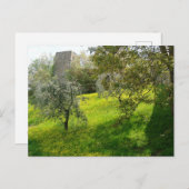 Außerhalb der Mauern von San Gimignano Postkarte (Vorne/Hinten)