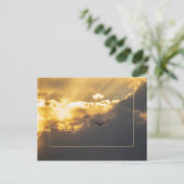 Außerhalb der Sonne Adler mit Grenze Postkarte (Stehend Vorderseite)