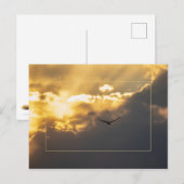 Außerhalb der Sonne Adler mit Grenze Postkarte (Vorne/Hinten)