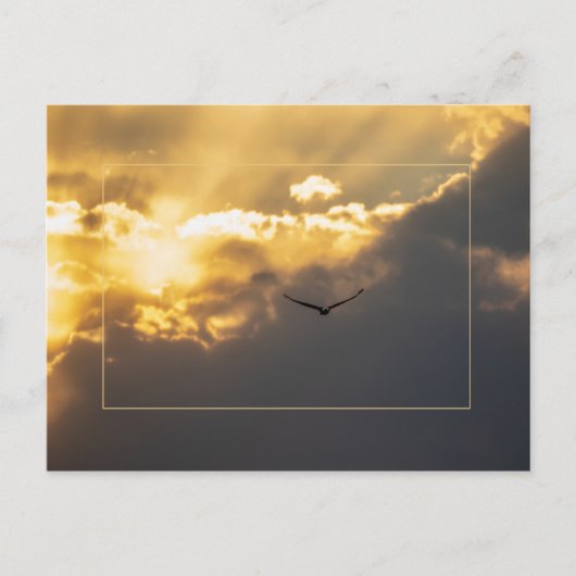 Außerhalb der Sonne Adler mit Grenze Postkarte (Vorderseite)