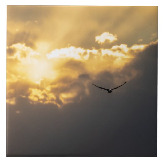 Außerhalb des Sonnenblumenadlers Fliese (Vorderseite)