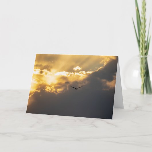 Außerhalb des Sonnenblumenadlers Karte (Vorderseite)