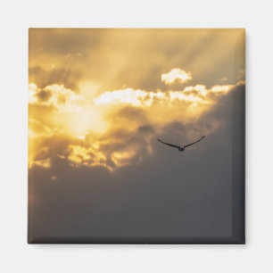 Außerhalb des Sonnenblumenadlers Magnet