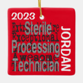 Außerordentlicher Steriltechniker Keramikornament (Vorderseite)