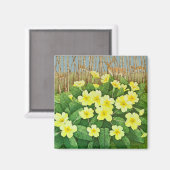 Aussicht auf 2011 magnet (Vorderseite/Rückseite)