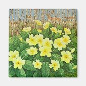 Aussicht auf 2011 magnet (Vorne)