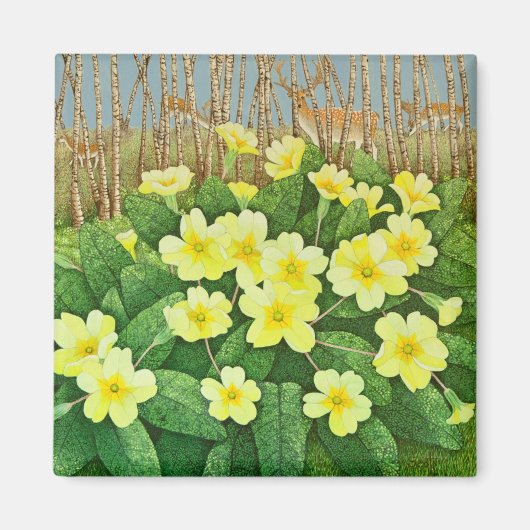 Aussicht auf 2011 magnet (Vorne)