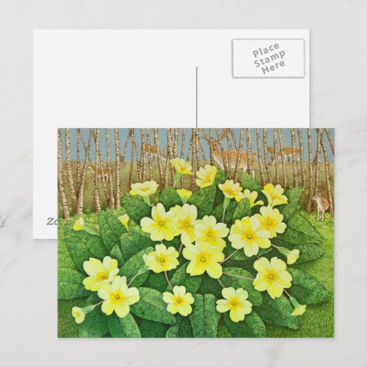 Aussicht auf 2011 postkarte (Vorne/Hinten)