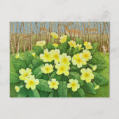 Aussicht auf 2011 postkarte (Vorderseite)