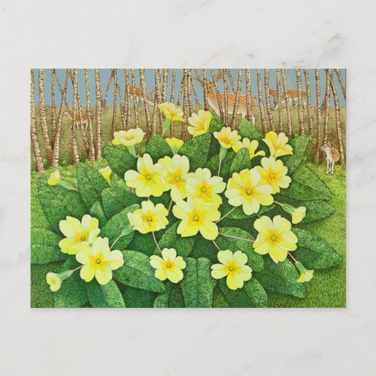 Aussicht auf 2011 postkarte (Vorderseite)