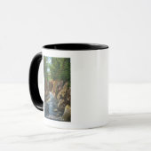 Aussicht auf Ausable River Falls und Bridge Tasse (Vorderseite Links)