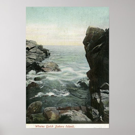 Aussicht auf Bakers Island, Whales Gulch Poster (Vorne)