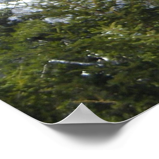 Aussicht auf Berge Poster (Ecke)