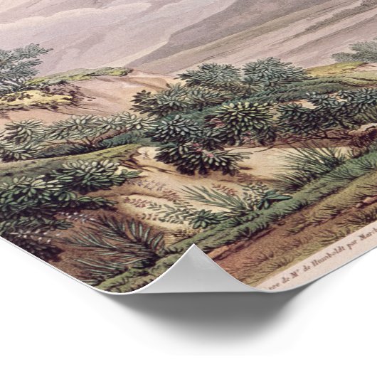 Aussicht auf Cajambe Poster (Ecke)