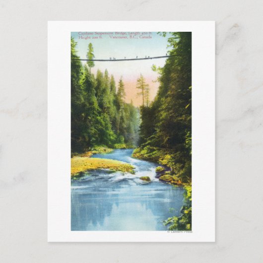 Aussicht auf Capilano Hängebrücke # 2 Postkarte (Vorderseite)