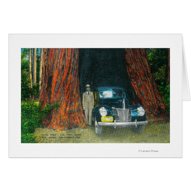 Aussicht auf das Auto TreeBig Basin Staat Park, CA (Vorderseite (Horizontal))
