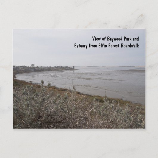 Aussicht auf das Estuary aus dem Elfin Forest, Los Postkarte (Vorderseite)