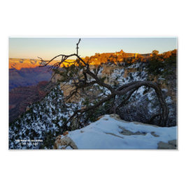 Aussicht auf das Hotel El Tovar mit Blick auf den  Fotodruck