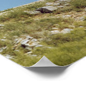 Aussicht auf das Moulin de Daudet Poster (Ecke)