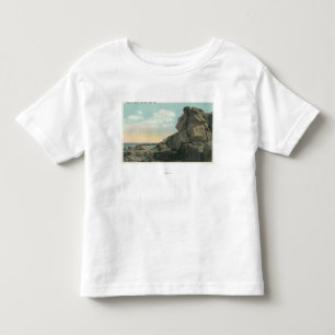 Aussicht auf den alten Mann der Felsformation Kleinkind T-shirt