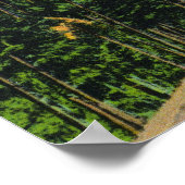 Aussicht auf den Berg von Buzzards Point Poster (Ecke)