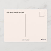 Aussicht auf den Bow River Alberta Kanada Postkarte (Rückseite)