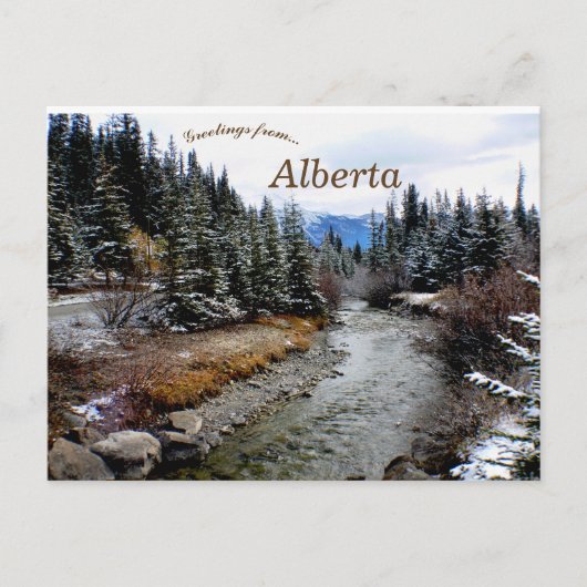 Aussicht auf den Bow River Alberta Kanada Postkarte (Vorderseite)