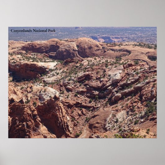 Aussicht auf den Canyonlands-Nationalpark Poster (Vorne)