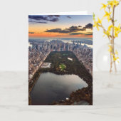 Aussicht auf den Central Park bei Sonnenuntergang Karte (Gelbe Blume)