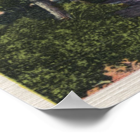 Aussicht auf den Convict-See im Hochgebirge Poster (Ecke)