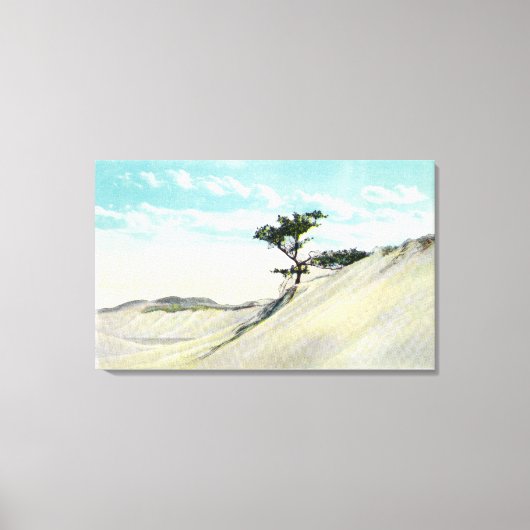 Aussicht auf den Dorothy Bradford Steamer Leinwanddruck (Vorderseite)