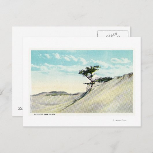 Aussicht auf den Dorothy Bradford Steamer Postkarte (Vorne/Hinten)