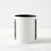 Aussicht auf den Eingang zur Richterhalle von Plat Tasse (Zentrum)