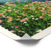 Aussicht auf den Fluss Israel und den Präsidentenr Poster (Ecke)