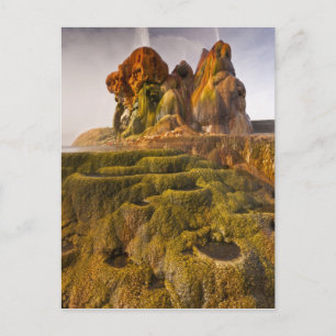 Aussicht auf den Fly Geyser Postkarte