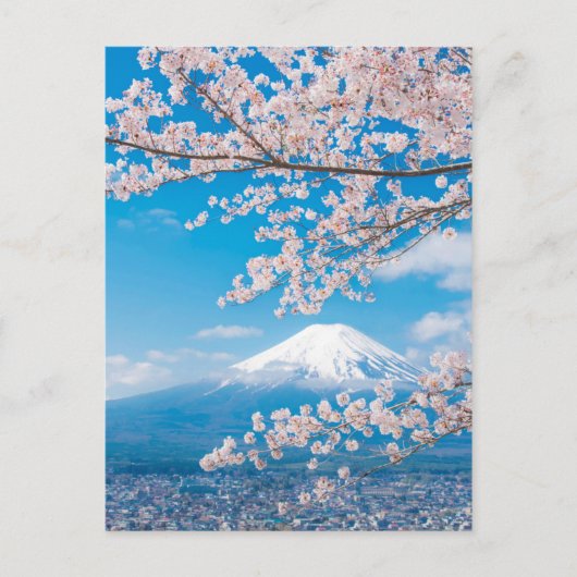 Aussicht auf den Fuji mit Kirschblüten Postkarte (Vorderseite)