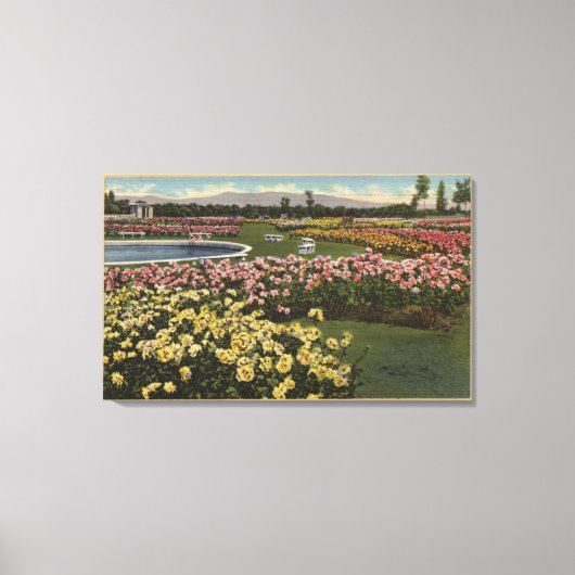 Aussicht auf den Gemeindegarten Rose Leinwanddruck (Vorderseite)